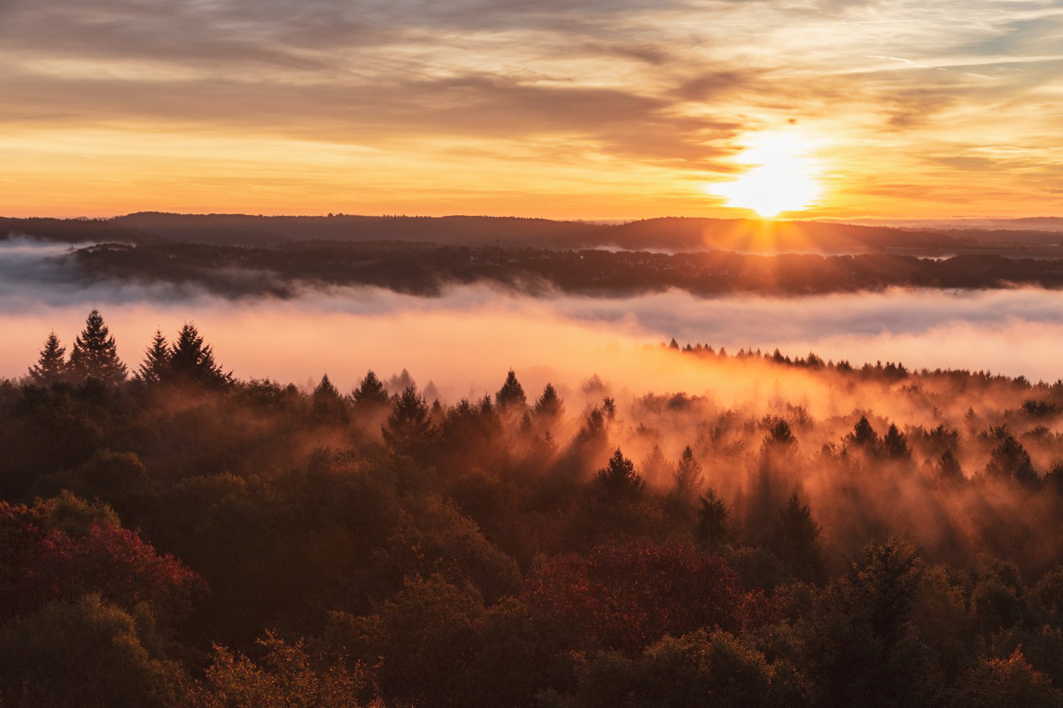 Sonnenaufgang im Herbst im Saarland